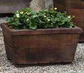Campania Vendange Planters